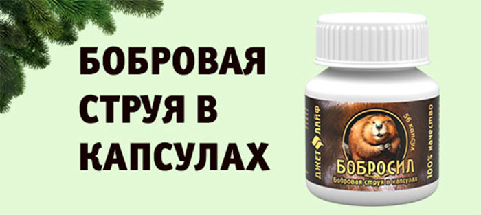 Бобросил