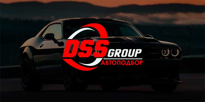 DSS Group