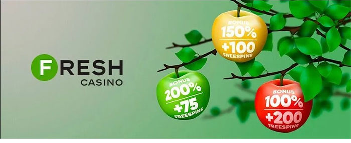 Fresh Casino