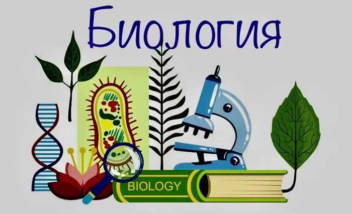Биология